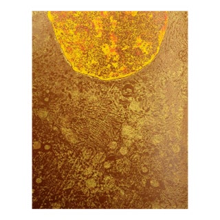 Abstract Norbert Irvine "Solar Reflections" Hand Signed Numbered Vintage Serigraph Art Print For Sale
