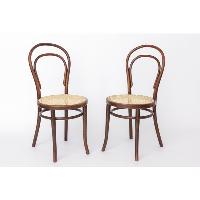 Antique Bentwood Chairs from Gebrüder Thonet, 1890s, Set of 2 For Sale - Image 12 of 12