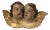 18th Century French Baroque Carved Giltwood Cherub Head Fragment Wall Ornament For Sale