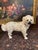 A charming and unusually large pair of Scottish Bo’ness-style pottery “Wally Dogs”, modeled as spaniels standing on all...