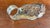 Vintage English Silver Plate Pastry Server For Sale - Image 10 of 10