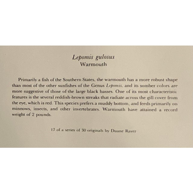 Mid 20th Century Set of 3 Vintage Dept.of the Interior/U.S. Fish and Wildlife Service, Color Plate Original Prints Framed. For Sale - Image 9 of 10