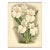 C1890 French Antique Botanical Chromolithograph-Orchids, With Documentation, For Sale