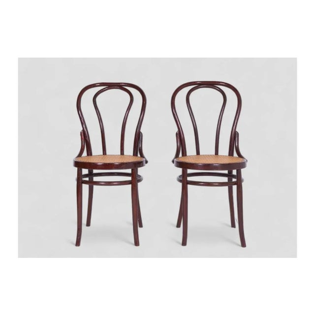 Vintage Sl N8 Chairs, Set of 4 For Sale - Image 4 of 8