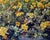 Textile Oil Painting Marigold Varvarov Anatoly Viktorovich For Sale - Image 7 of 7