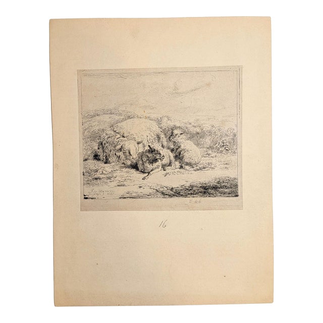 Jan Van Der Meer the Younger (Dutch, 1656–1705) Ewe With Two Lambs 1685 Etching For Sale