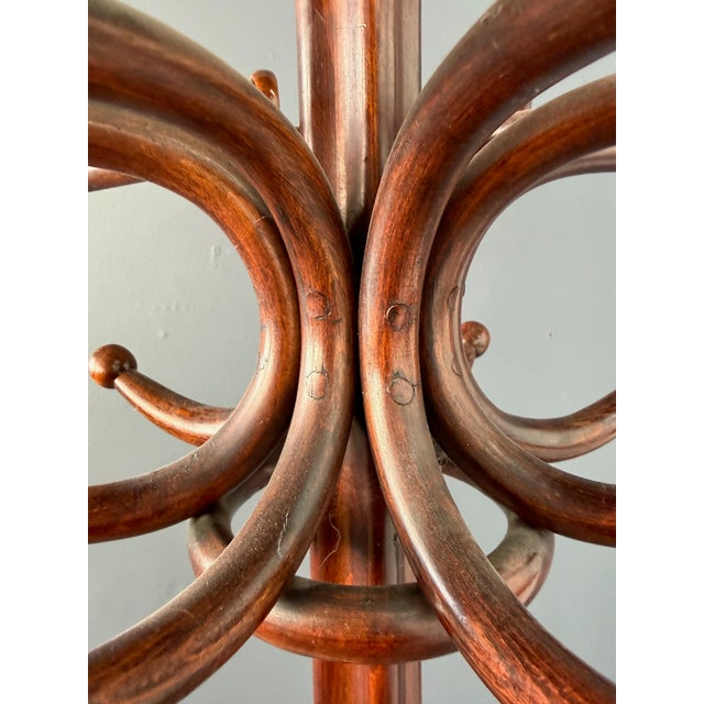 Thonet Thonet Bentwood Standing Coat Rack Nr. 1, Austria, Early 20th Century For Sale - Image 4 of 10