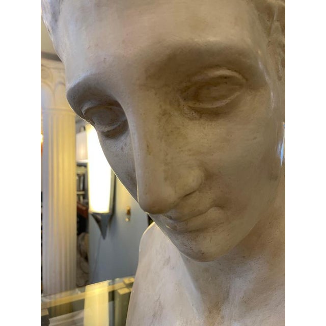 Unknwon, Plaster Bust of the God Hermes, 1900, Gesso For Sale - Image 10 of 18