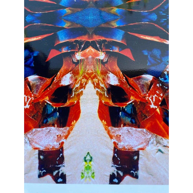 “Kelp Jewel I” — Drakes Beach, Point Reyes For Sale In San Francisco - Image 6 of 9