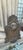 Early 20th Century Cast Iron Lion Architectural Fountain Back For Sale - Image 10 of 17