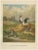 The Silver Bantam Game Fowl, 1888, Lithograph For Sale - Image 10 of 10