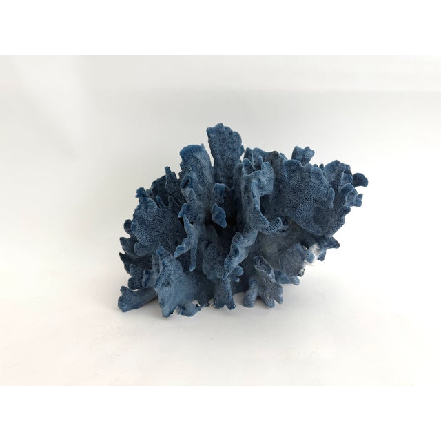 Chinoiserie Natural Blue Coral Specimen Coastal Decor For Sale - Image 3 of 8