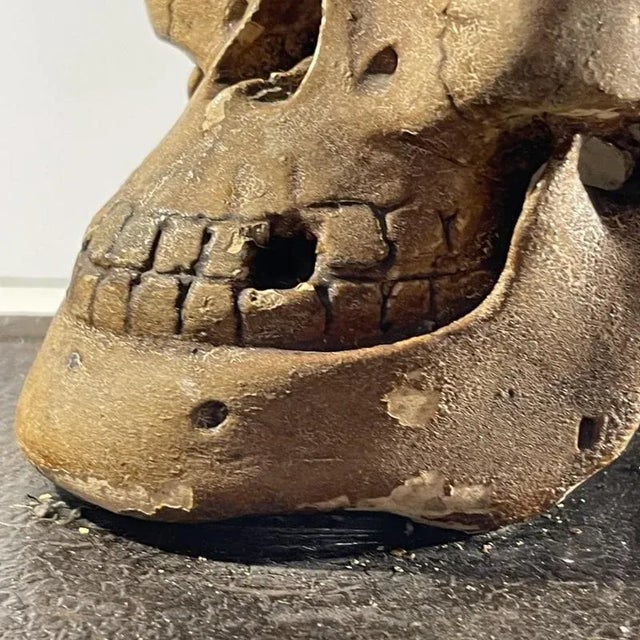 Patinated Plaster It Is Appointed for Men to Die Once Vanitas Curiosity Object, 1900 For Sale - Image 5 of 18