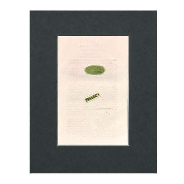 English Set of 6 Antique Hand-Colored Sowerby Seaweed & Marine Algae Botanical Prints For Sale - Image 3 of 8