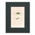 English Set of 6 Antique Hand-Colored Sowerby Seaweed Prints For Sale - Image 3 of 8