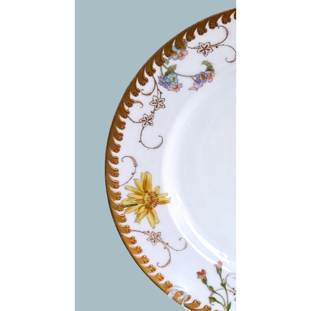 Metal Antique German Fischer & Mieg Pirkenhammer Dinner Plates - Set of 4 For Sale - Image 7 of 15