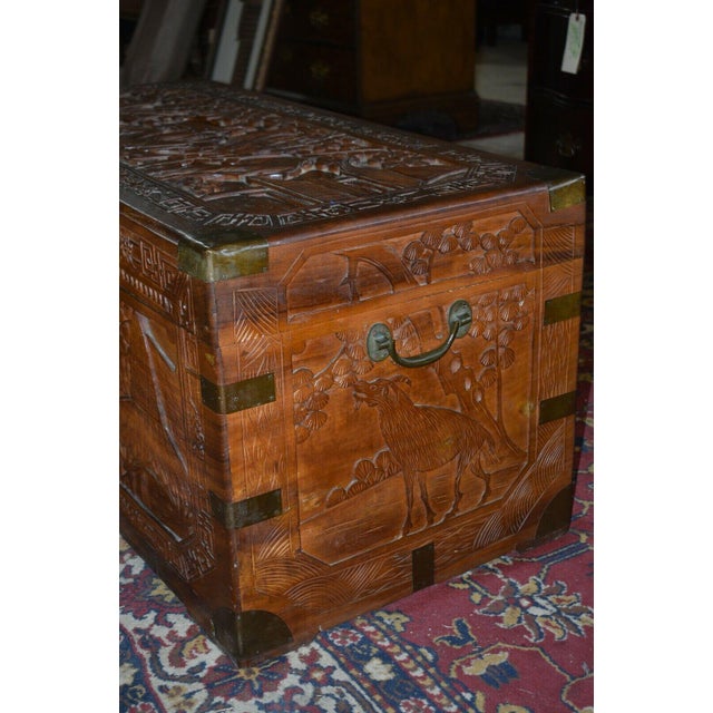 Antique Chinese Carved Camphor Chest Trunk For Sale - Image 4 of 13
