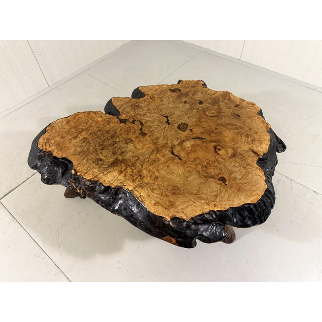 Large imposing tree trunk coffee table by Frank Armich, Canada. Tabletop made of 10 cm thick birdseye maple wood (mustard...