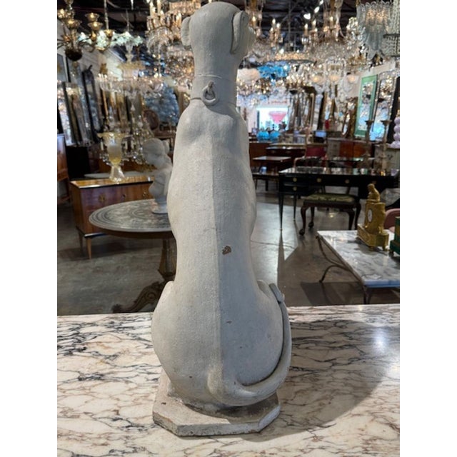 Italian Whitewashed Whippet For Sale - Image 4 of 5