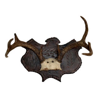 Early 20th Century Black Forest Style Deer Antler Trophy on Carved Shield Plaque For Sale