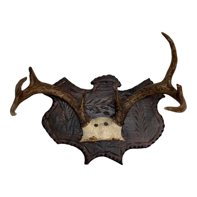 Early 20th Century Black Forest Style Deer Antler Trophy on Carved Shield Plaque For Sale