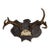 Early 20th Century Black Forest Style Deer Antler Trophy on Carved Shield Plaque For Sale