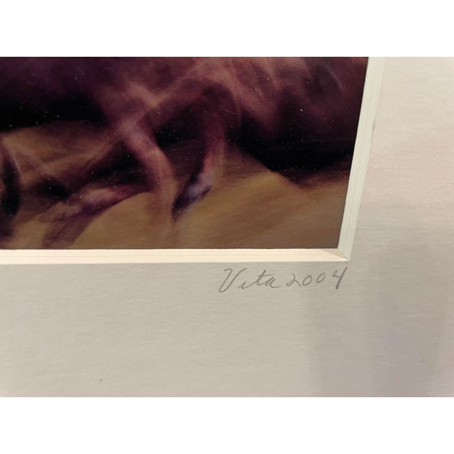 Stunning Motion-Blur Photo of Wildebeest Migration in Kenya - Signed by Vita Forlenze For Sale - Image 4 of 8