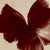 Ugne Pouwell, Poppy Bird, Color Photograph, Signed Edition of 10 For Sale - Image 4 of 4