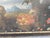 Mallorcan School Artist, Animal Composition, 18th Century, Oil Painting, Framed For Sale - Image 7 of 14