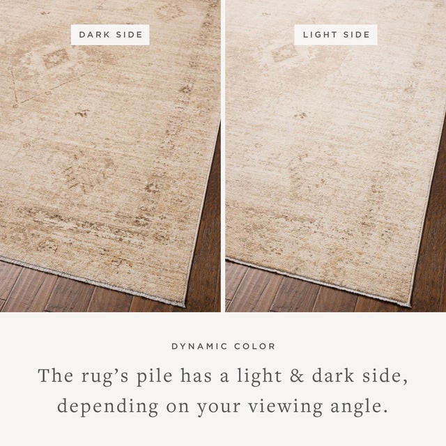 Textile Chris Loves Julia x Loloi Palma Natural / Smoke 6'-3" x 9'-6" Area Rug For Sale - Image 7 of 7