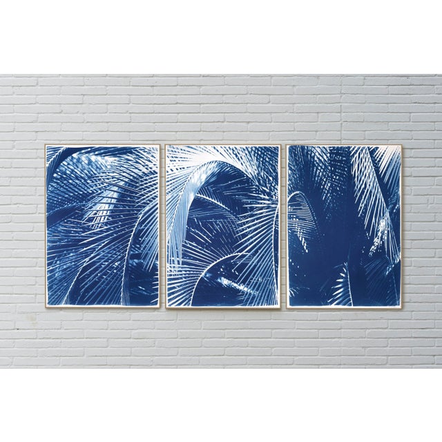 2021 "Shady Majesty Palm Leaves" Contemporary Botanical Triptych Print - Set of 3 For Sale - Image 4 of 11