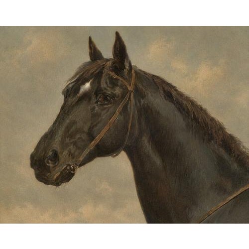 O. Eerelman, Russian Half-Blood Horse, 1898, Chromolithograph For Sale - Image 3 of 9