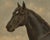 O. Eerelman, Russian Half-Blood Horse, 1898, Chromolithograph For Sale - Image 3 of 9