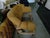 Sofa in Fan Leather For Sale - Image 9 of 10