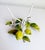 Metal 1950s Italian Toleware Hurricane Candle Holder With Lemon Tree Accents For Sale - Image 7 of 9