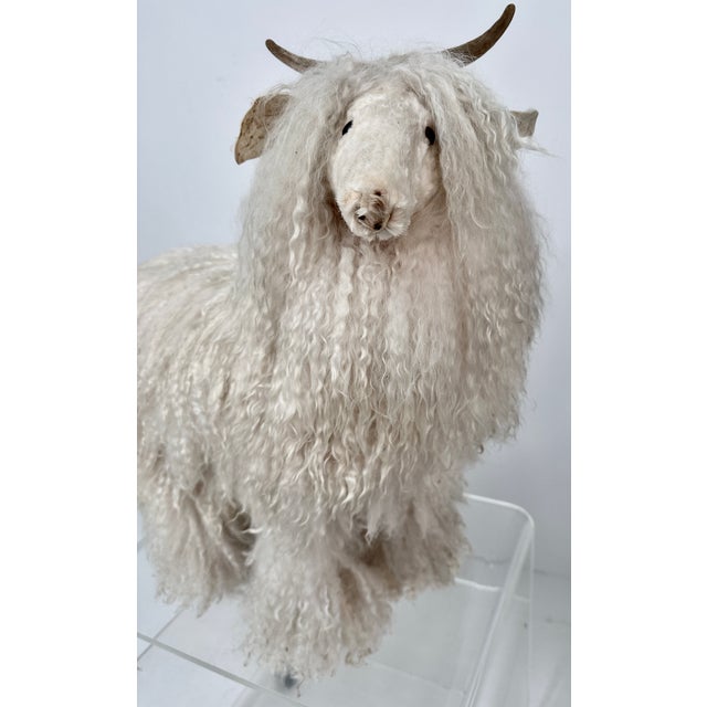 Sheep Sculpture, Handcrafted by New Mexico Artist Ray Growler For Sale - Image 12 of 14