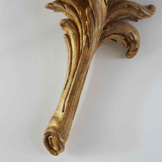 Louis XV Large Florentine Carved and Gilded Wall Sconces, 1990s, Set of 2 For Sale - Image 4 of 5