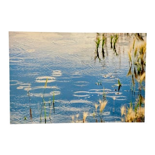 Gleb Derujinsky "Pond Raindrops" Contemporary Landscape Photographic Print For Sale