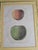 Pair of 19th‑Century Original Apple Lithographs — Emmons / Endicott / Pease — Professionally Framed For Sale - Image 9 of 10