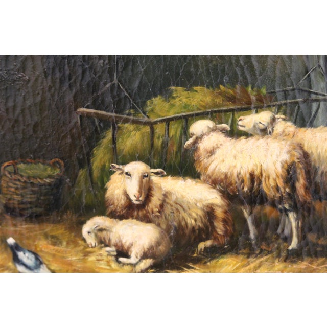 Sheep, 1920s, Oil on Board, Framed For Sale - Image 10 of 16
