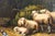 Sheep, 1920s, Oil on Board, Framed For Sale - Image 10 of 16