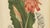 Hoola van Nooten, Torch Ginger, 1880, Chromolithograph For Sale - Image 5 of 9