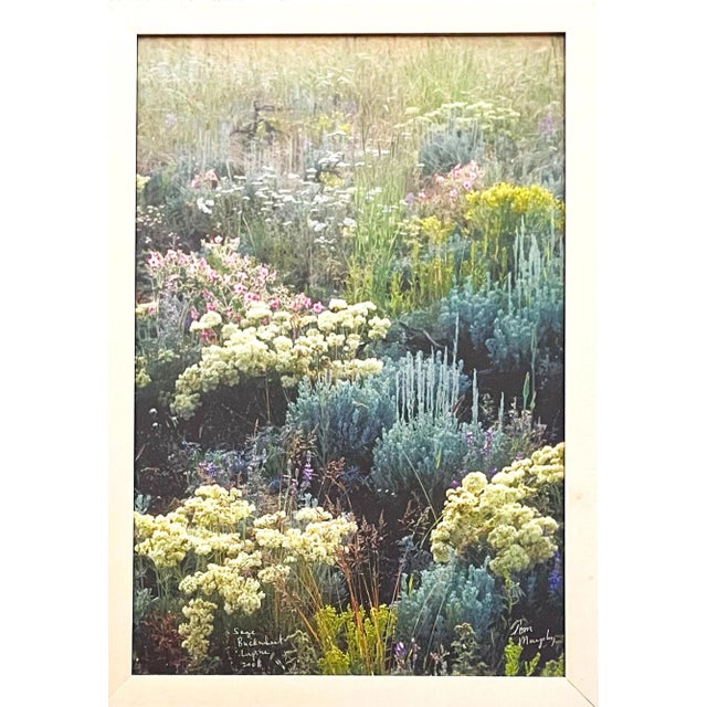 2000 - 2009 2008 Sage Buckwheat Lupine Print Signed by Artist Tom Murphy, Framed For Sale - Image 5 of 5