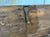 18th Century Oak Chest with Gothic Decoration For Sale - Image 13 of 18