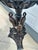19th Century Cast Iron Fountain/Bird Bath C.C.Anderson & Sons For Sale - Image 4 of 11
