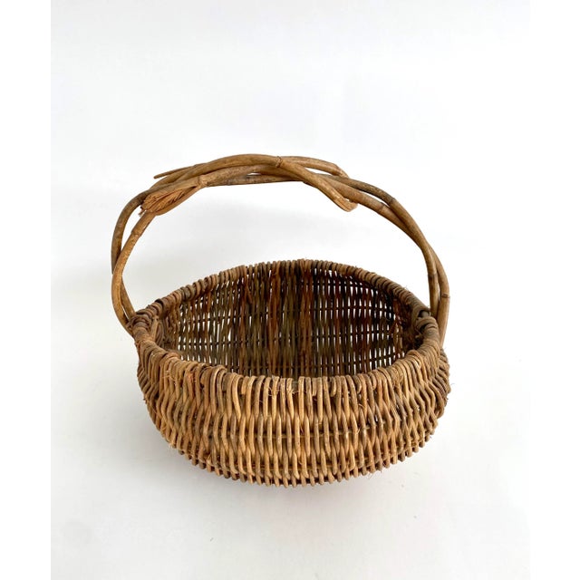Wood Early 20th C Grapevine & Willow Woven Gathering Basket For Sale - Image 7 of 7