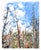 This monotype captures a striking view of a forest landscape under a vast blue sky, where the skeletal remains of trees...