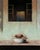 Asleep in the Snow by Matthew Saba | Oil on panel still life with a bowl and a door in background For Sale