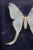 Transitional Framed Female Comet Moth Shadow Box Specimen Display For Sale - Image 3 of 10