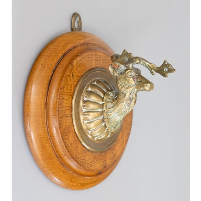 Wood Antique English Brass Stag Elk Wall Mount on Oak Plaque For Sale - Image 7 of 7